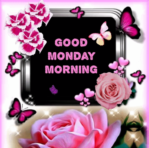 Have A Good Morning Happy Monday GIF