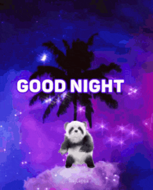 Have A Good Night Dancing Panda GIF