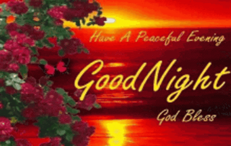 Have A Good Night God Bless GIF
