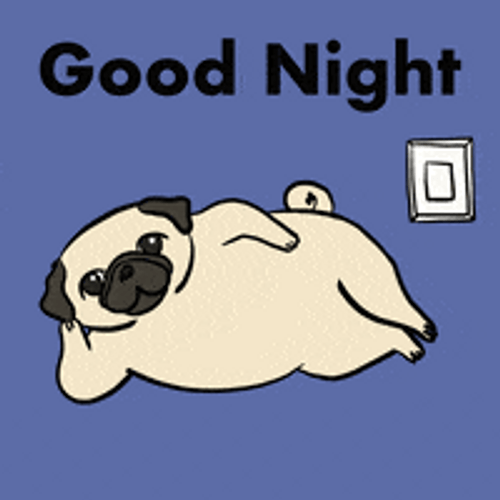Have A Good Night Pug Switching Light Off GIF