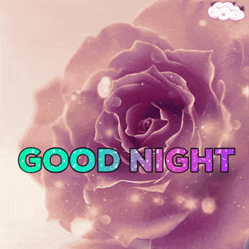 Have A Good Night Purple Flower GIF