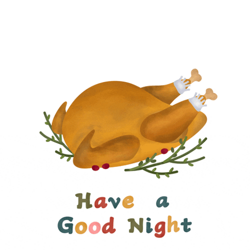 Have A Good Night Sleeping Roasted Chicken GIF