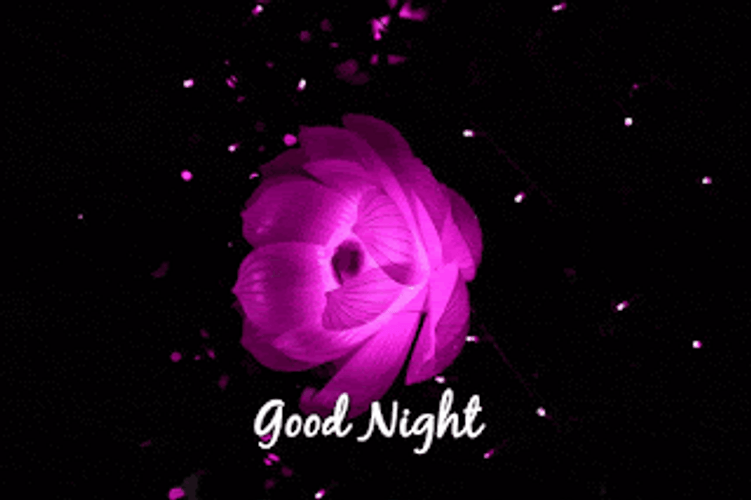 Have A Good Night Sweet Dreams Neon Flower GIF