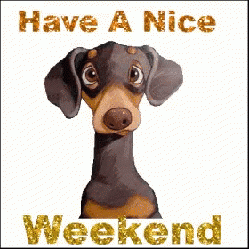 Have A Good Weekend Cute Puppy GIF