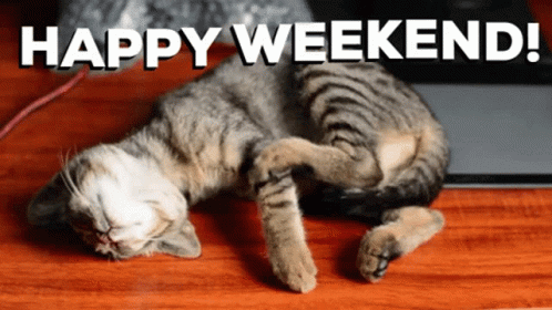 Have A Good Weekend Drowsy Little Kitty GIF
