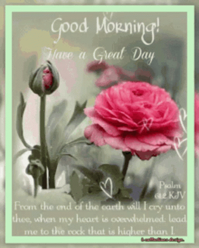 Have A Grate Day Happy Blessed Wednesday GIF