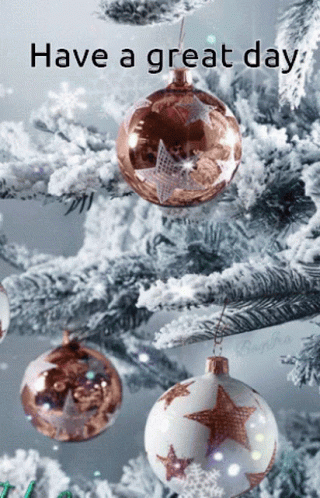Have A Great And Amazing Christmas Wednesday GIF