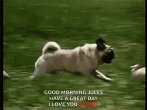Have A Great Day At School Dog Running GIF
