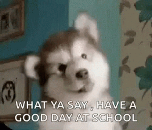 Have A Great Day At School Puppy What Ya Say GIF