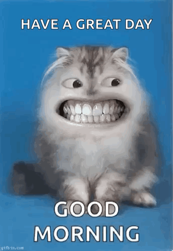 Have A Great Day Funny Cat GIF