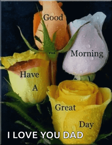 Have A Great Day I Love You Dad GIF