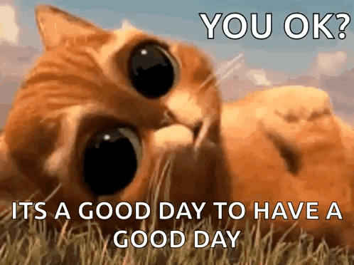 Have a Great Day Jackie Simon Peter Grace Cats the 13th Friday