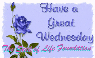 Have A Great Day Wednesday At School GIF