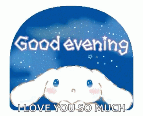 Have A Great Evening Cinnamoroll GIF
