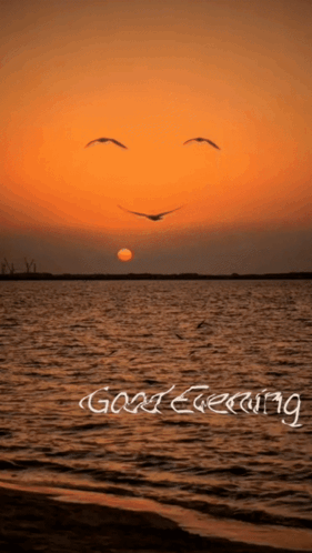 Have A Great Evening Smile Birds GIF