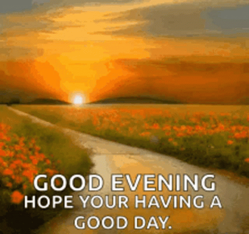 Have A Great Good Evening GIF