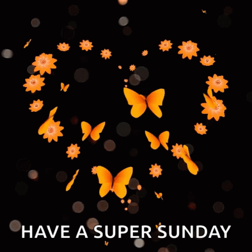 Have A Great Sunday Heart Butterfly GIF