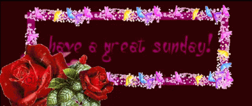 Have A Great Sunday With Flower Borders GIF