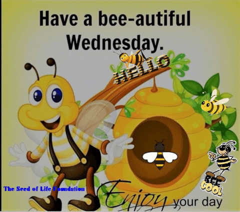 Have A Great Wednesday Save The Bees GIF