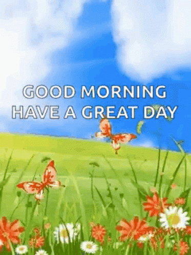 Have A Great Wednesday Sunny Day GIF