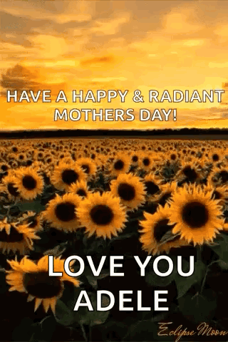 Have A Happy And Radiant Mothers Day ! Love You Adele GIF