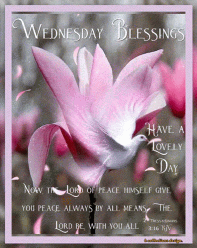 Have A Lovely Day Blessed Good Morning Wednesday GIF