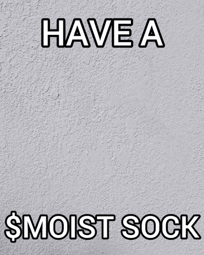 Have A $Moist Sock GIF