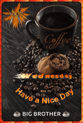 Have A Nice Day Big Brother With Coffee GIF