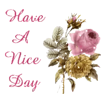 Have a Nice Day Flowers Card