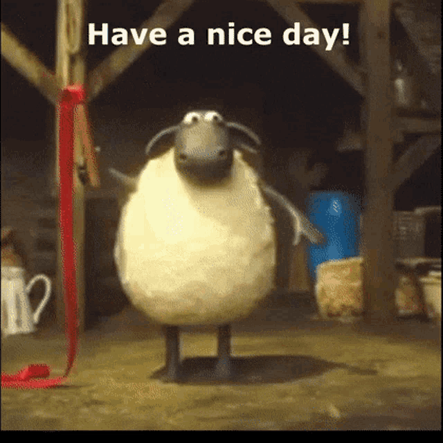 Have A Nice Day Shaun The Sheep Lace Dance GIF