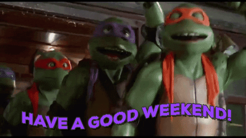 Have A Nice Good Weekend Ninja Turtles GIF