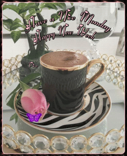 Have A Nice Monday New Week GIF