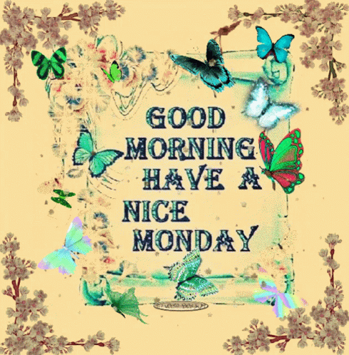 Have A Nice Wonderful Monday GIF