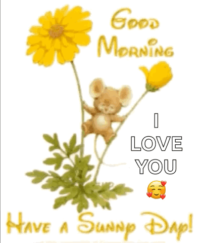 Have A Sunny Day Happy Blessed Wednesday GIF