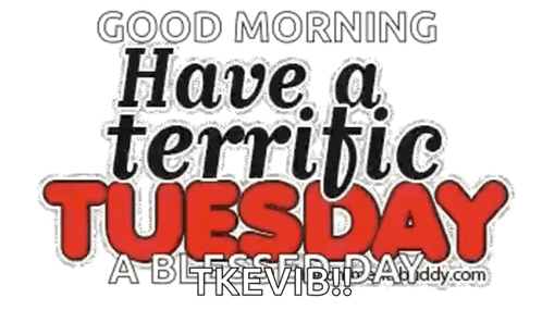 Have A Terrific Thankful Tuesday GIF