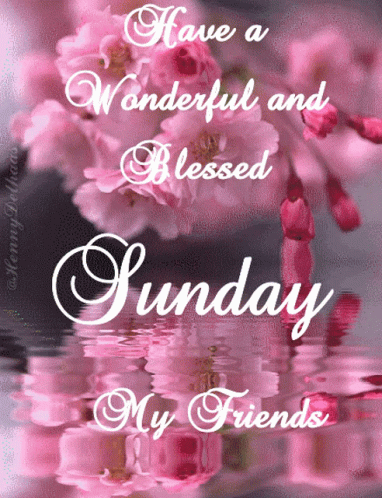 Have A Wonderful And Blessed Sunday My Friends With Flowers In The Background GIF