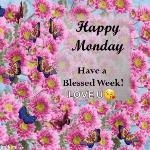 Have A Wonderful Blessed Monday GIF
