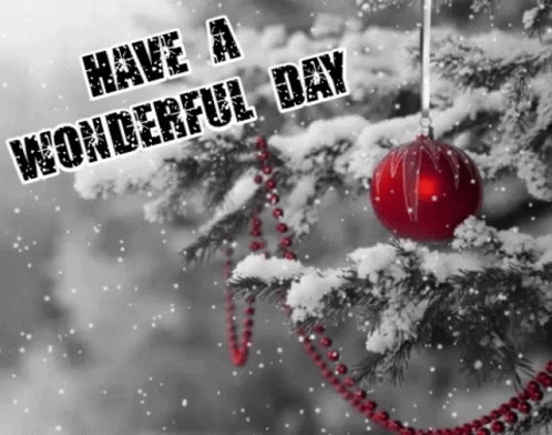 Have A Wonderful Christmas Wednesday GIF
