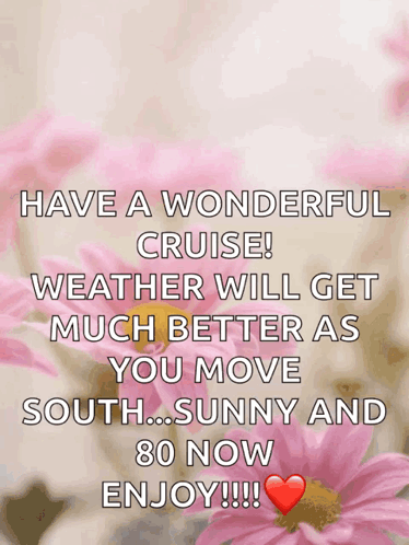 Have A Wonderful Cruise Weather Will Get Much Better As You Move South..sunny And 80 Now Enjoy !!! GIF