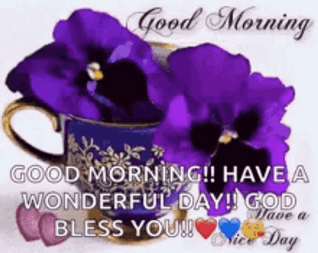 Have A Wonderful Day Good Morning Bless You GIF