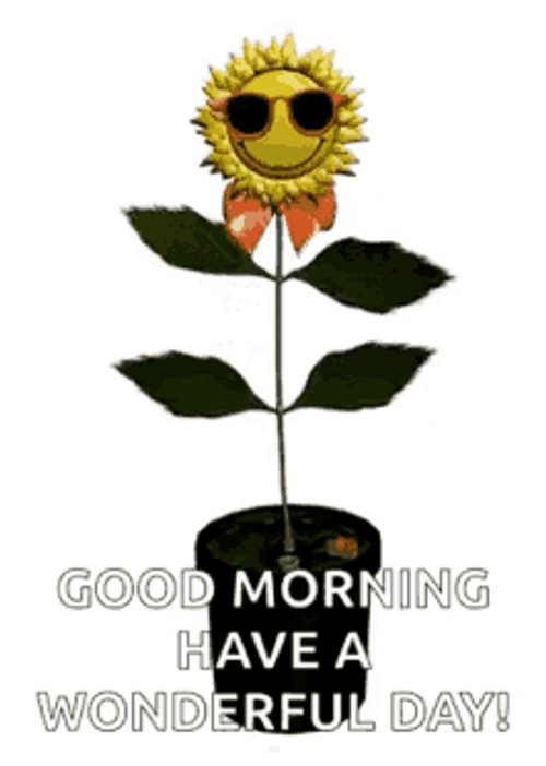 Have A Wonderful Day Good Morning Sunflower Dance GIF