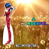 Have A Wonderful Day Ladybug Star Cutouts GIF