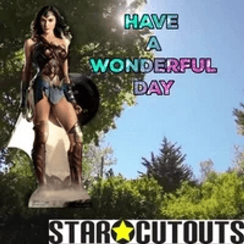 Have A Wonderful Day Wonderwoman Star Cutouts GIF