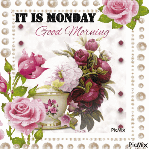 Have A Wonderful Monday Today GIF
