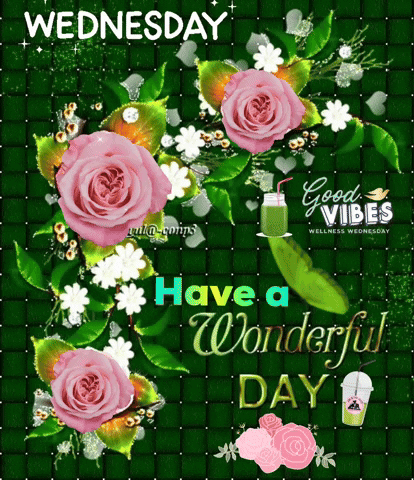 Have A Wonderful Wednesday Pink Roses GIF