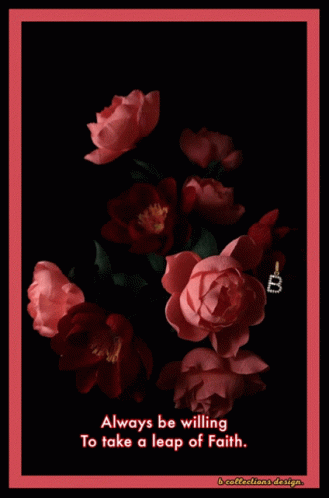 Have An Amazing Beautiful And Happy Wednesday GIF