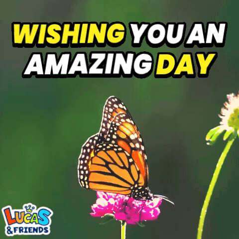 Have An Amazing Day Wishing You An Amazing Day Gif GIF