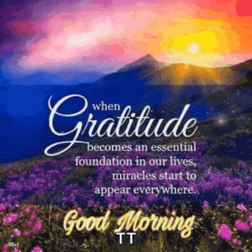 Have Gratitude In Positive Monday GIF