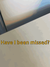 Have I Been Missed Me GIF