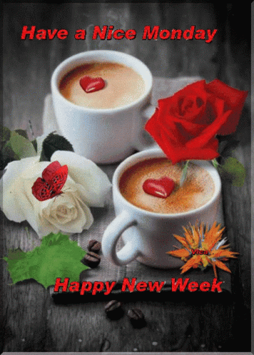Have Nice Monday Happy New Week Coffee Roses